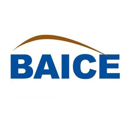 BAICE 20th  ANNIVERSARY SYMPOSIUM